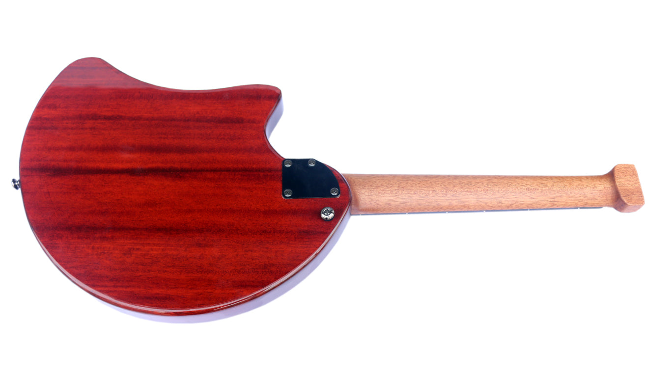 Steel-string electric oud RaksOud 4V