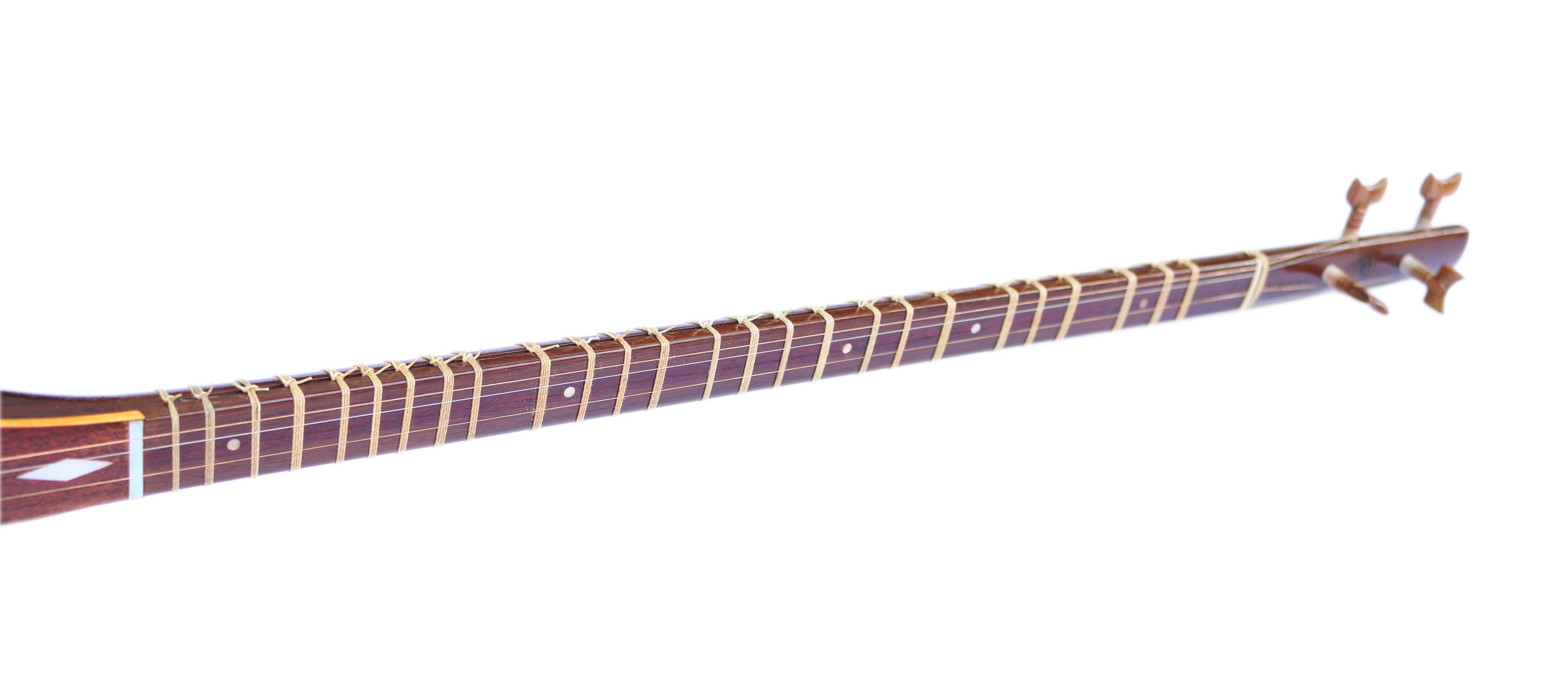 Setar ProSetar-20 by Mohammadi concert Persian plucked instrument