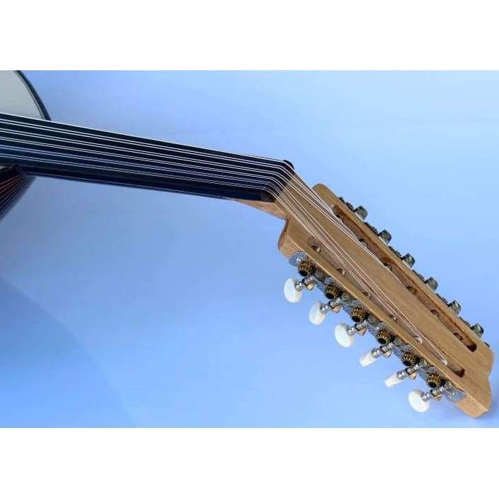 عود عربي جوز AAO-108G من Sala