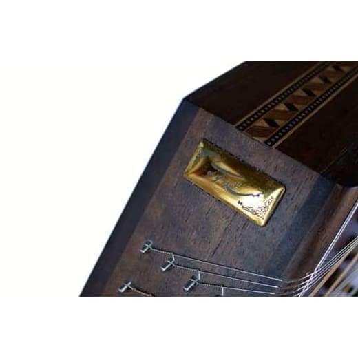 Hamid Mousavi سنطور 14 جسور MAS-414 آلة إيرانية