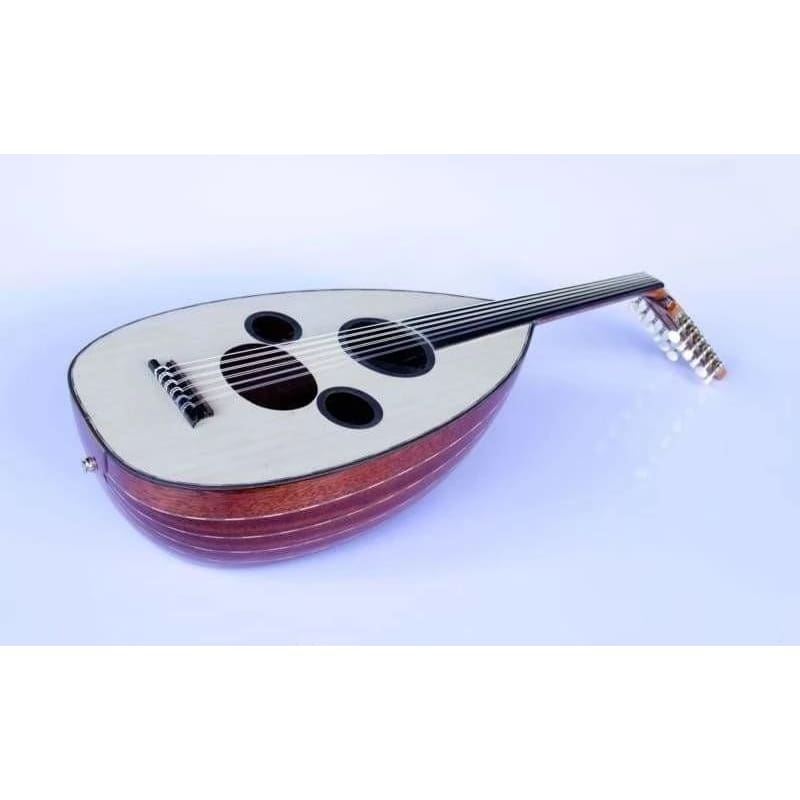 عود عربي كهربائي احترافي AAOK-301G من Sala