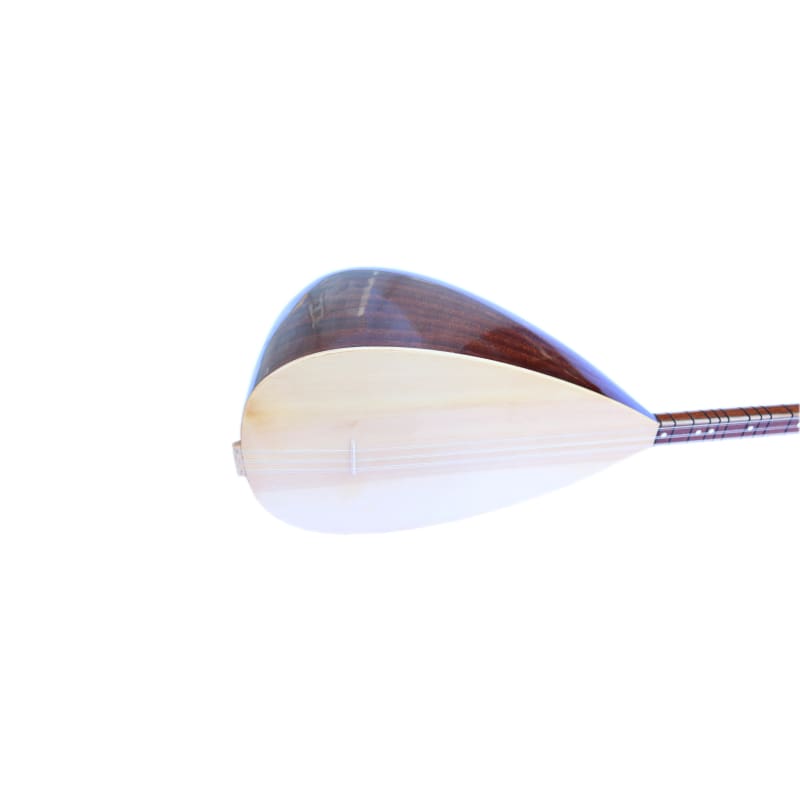 ساز طويلة العنق HSS-302L من Sala
