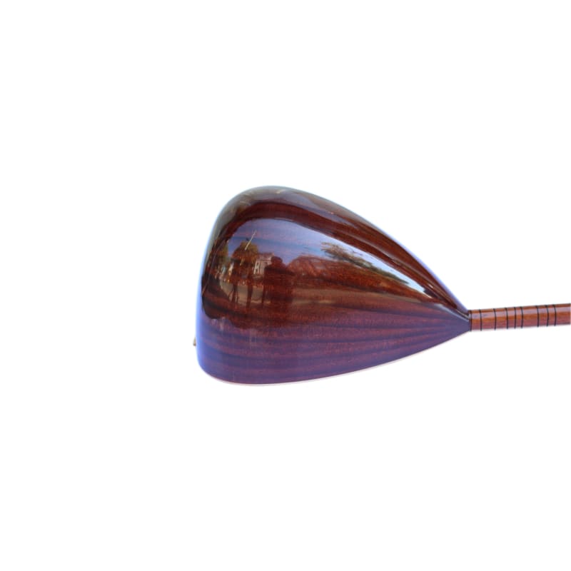 Sala باغلاما طويلة العنق احترافية ساز HSS-302L