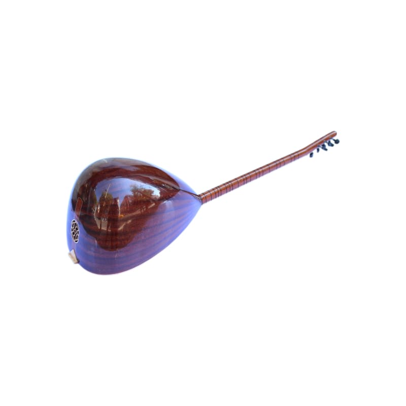 ساز طويلة العنق HSS-302L من Sala