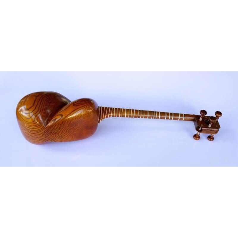 Molayi تار AYT-307 آلة وترية فارسية بجلد الجمل