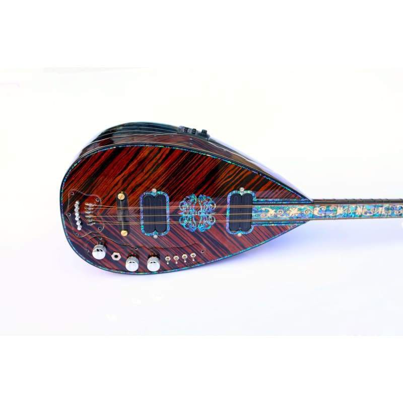 باغلاما Sala Muzik كهربائي خاص SES-208B
