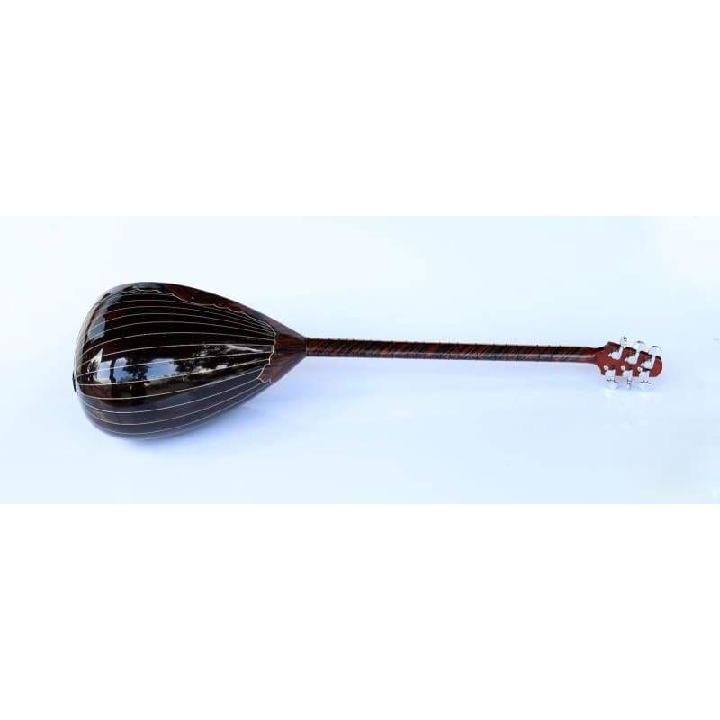 ساز كهربائي طويل العنق خاص SES-408G من Sala