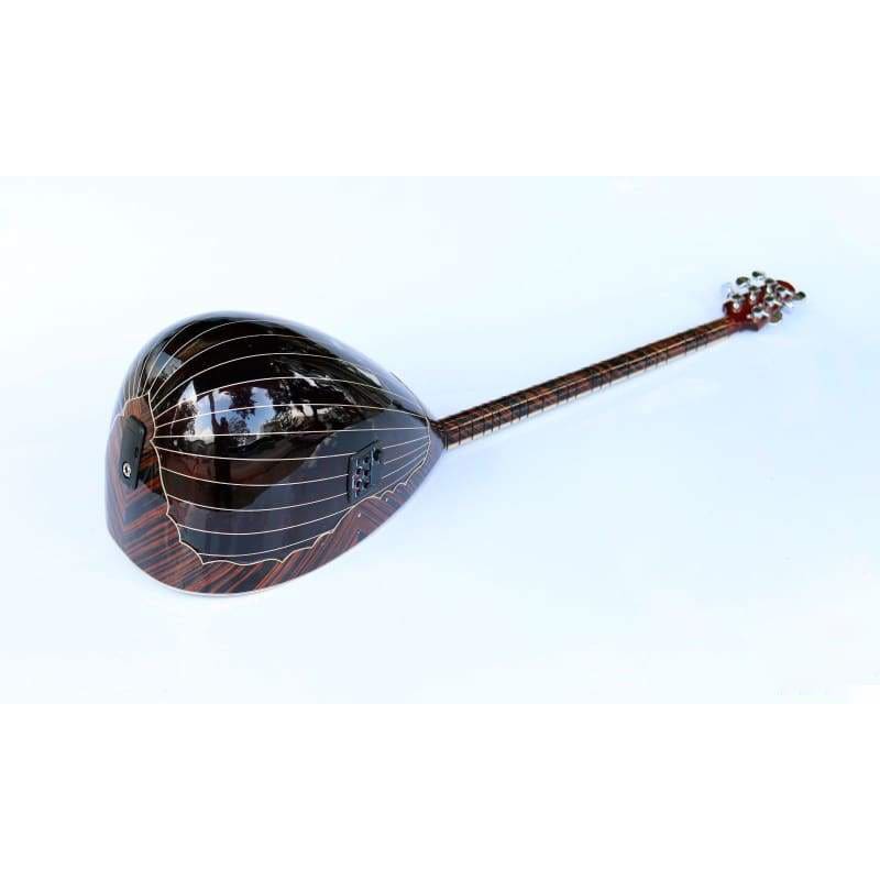 باغلاما كهربائي طويلة العنق SES-408G من Sala