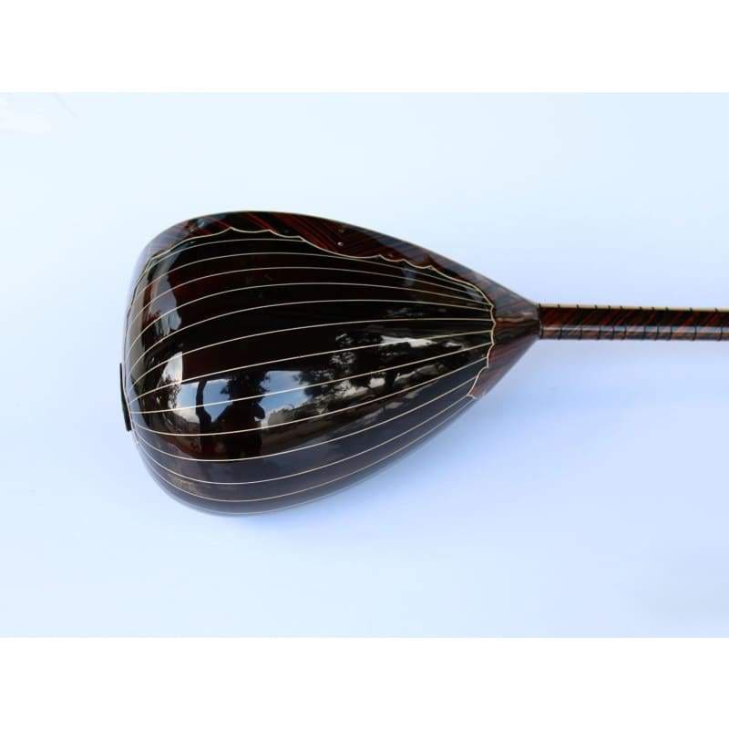 ساز كهربائي طويل العنق خاص SES-408G من Sala