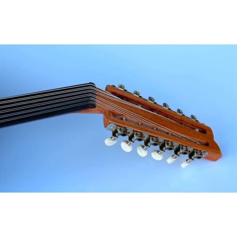 عود تركي كهربائي احترافي AOH-302G بنظام لاقط صوت مدمج