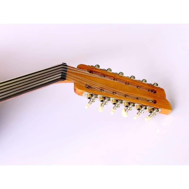 عود كهربائي تركي احترافي AOK-301G من Sala Muzik