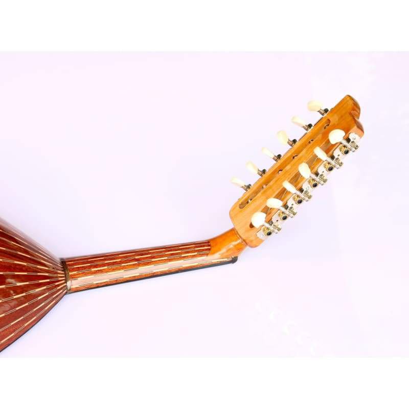 عود كهربائي تركي ماهوجني AOK-301G من Sala