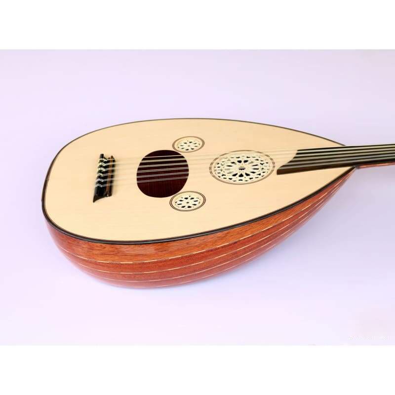 عود كهربائي AOK-301G ماهوجني وتنوب بخركة ابنوس من Sala Muzik